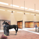 Illustration for article titled Yes, There Is an Airport Being Designed Just For Animals